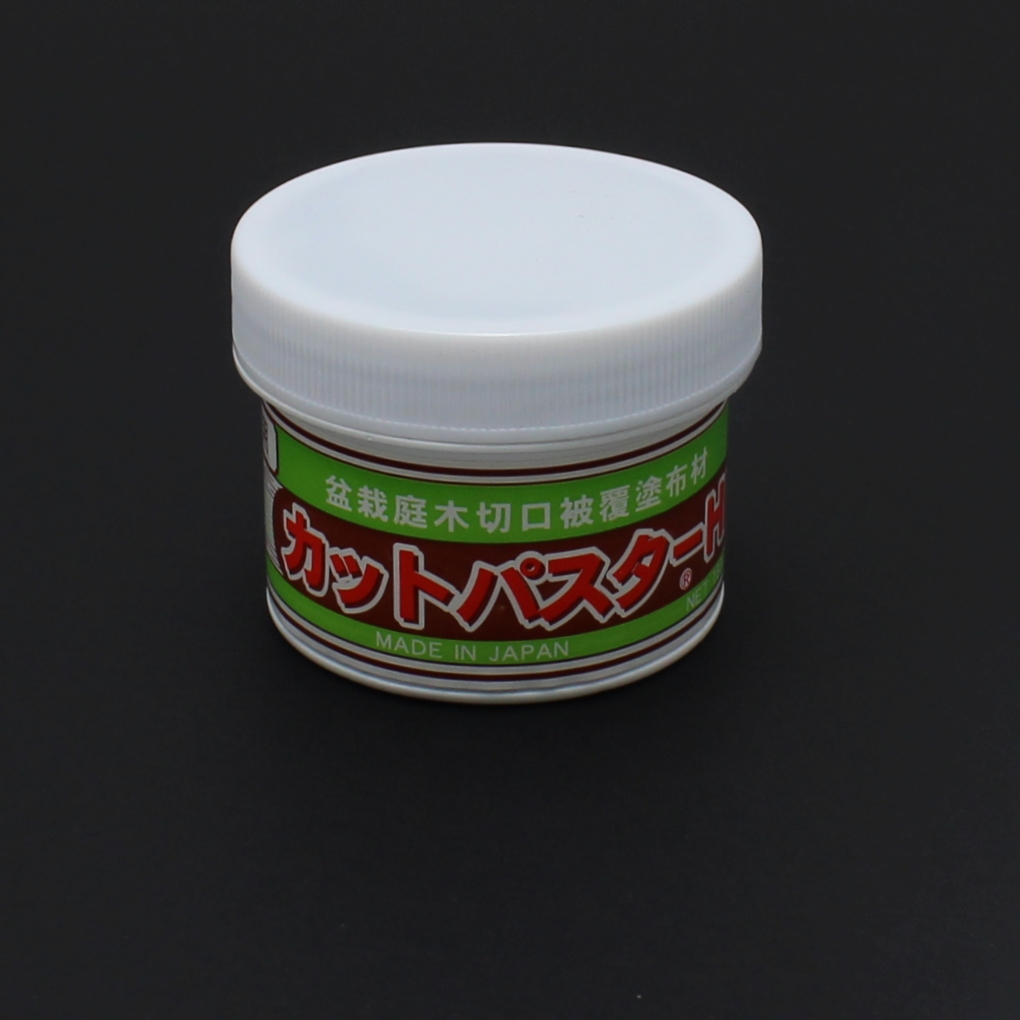 Mastice per latifoglie 160 gr