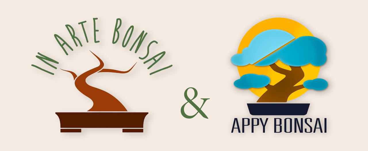 IN ARTE BONSAI & APPY BONSAI