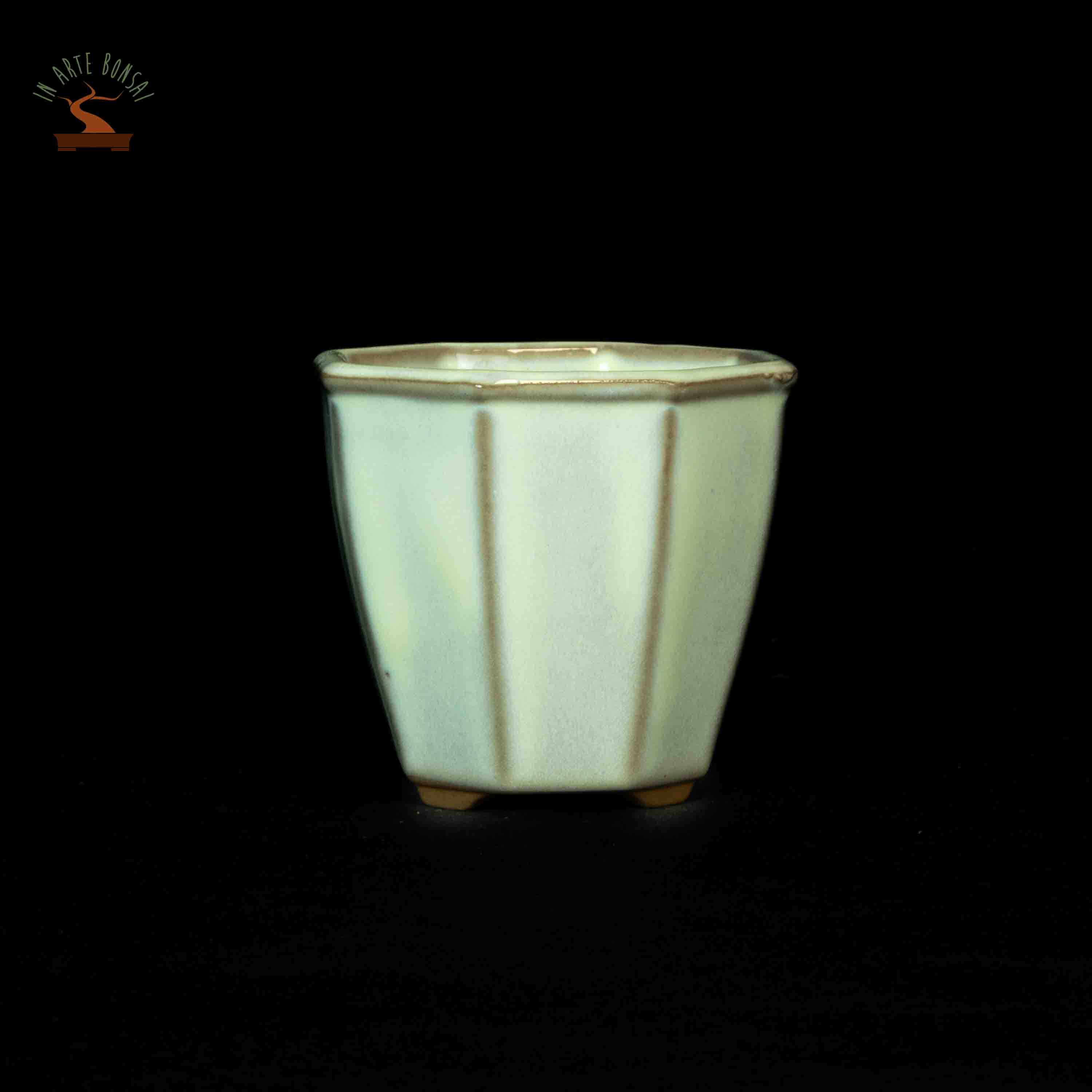 Octagonal pot 70 mm.