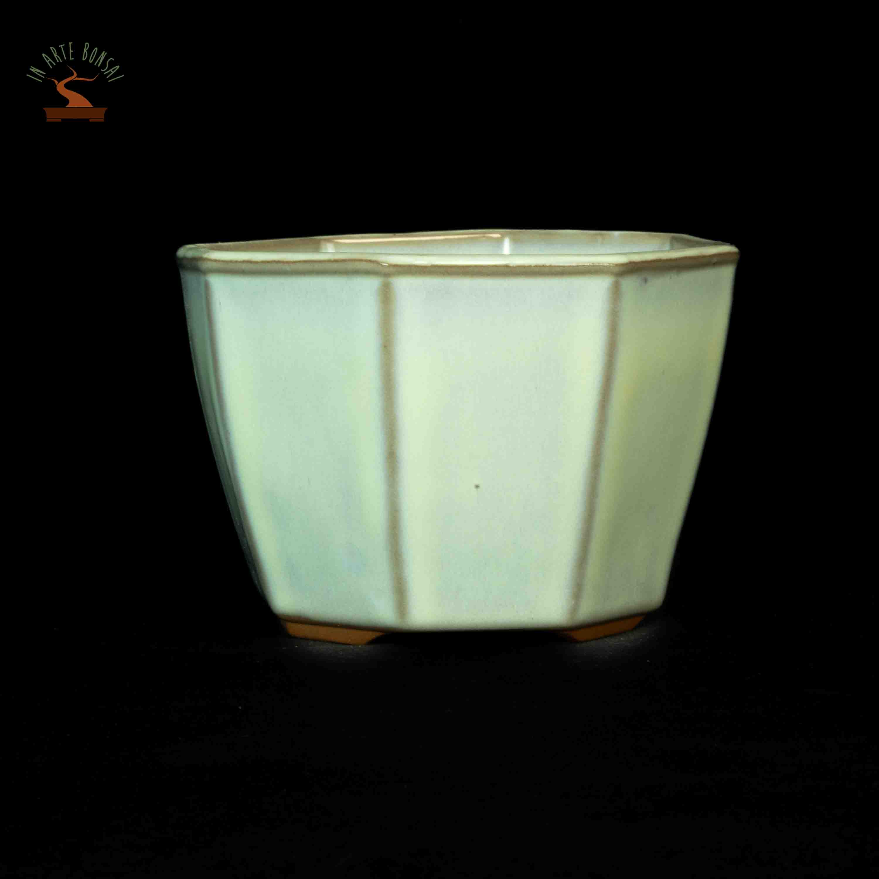 Octagonal pot 110 mm.