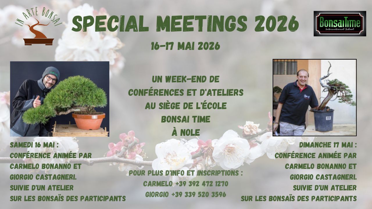 SPECIAL MEETING 2026 - IN ARTE BONSAI & BONSAI TIME