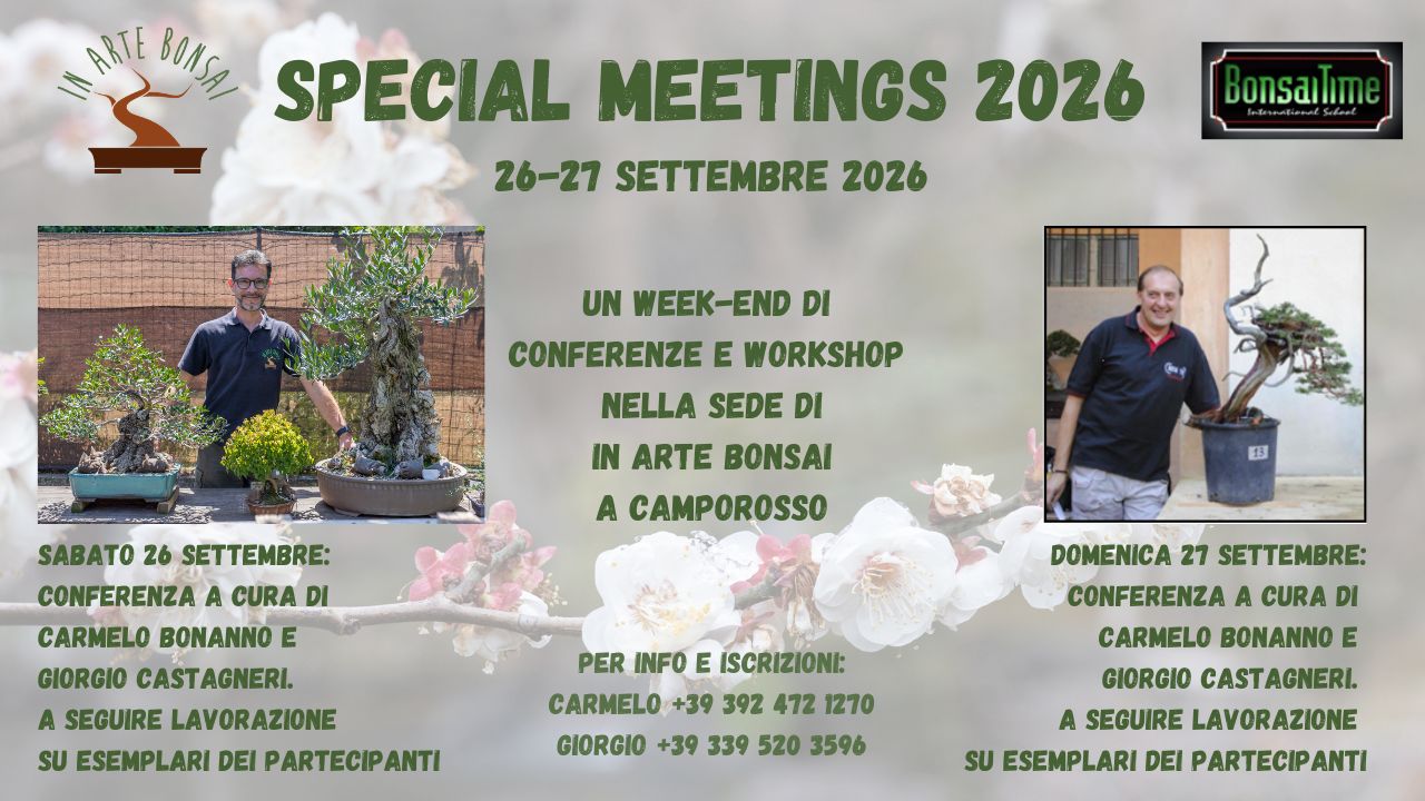 SPECIAL MEETING 2026 - IN ARTE BONSAI & BONSAI TIME