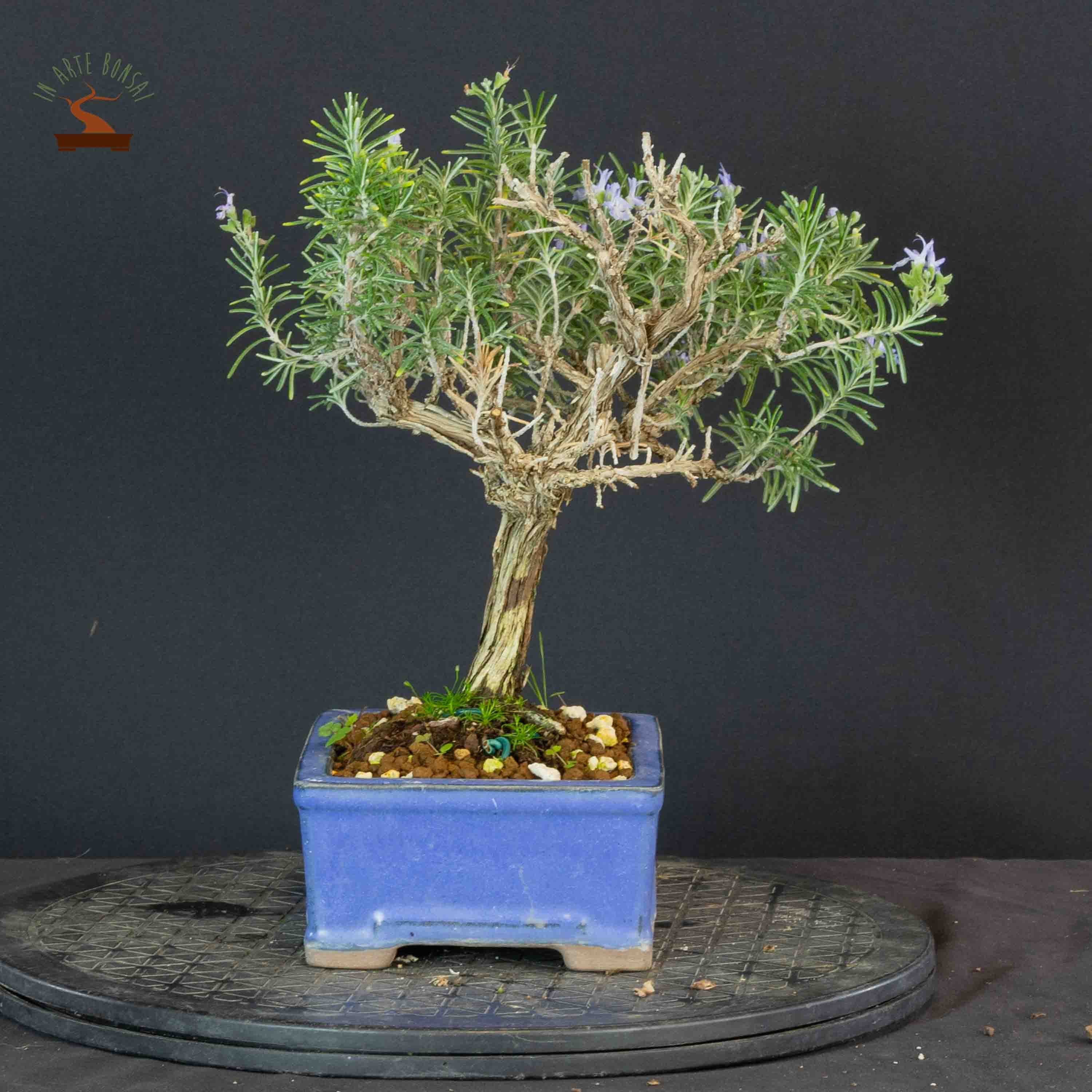 Side 2