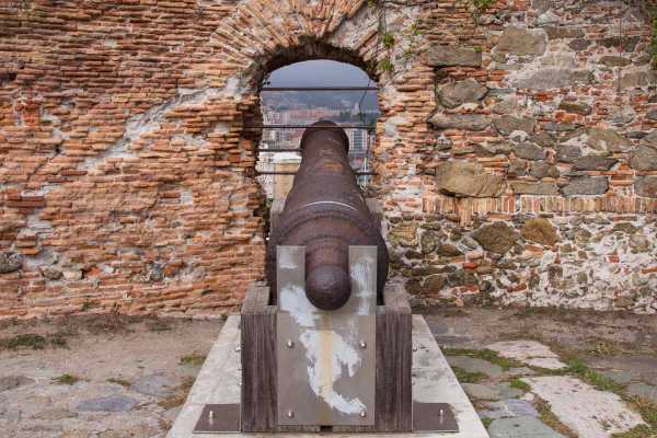 La Fortezza del Priamar ha ospitato la prima mostra del Ponente Bonsai Club di Savona